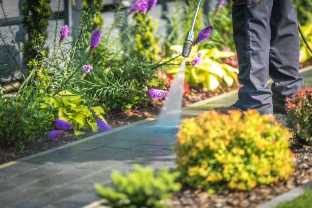 Best Parking Lot and Garage Cleaning  in Poplar Cotton Center, CA